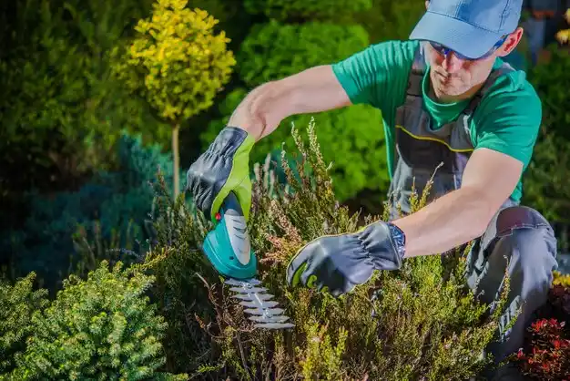 landscaping services Chappaqua